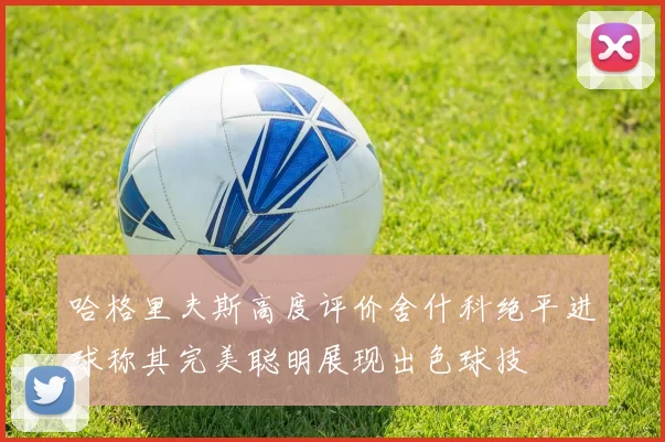 哈格里夫斯高度评价舍什科绝平进球称其完美聪明展现出色球技