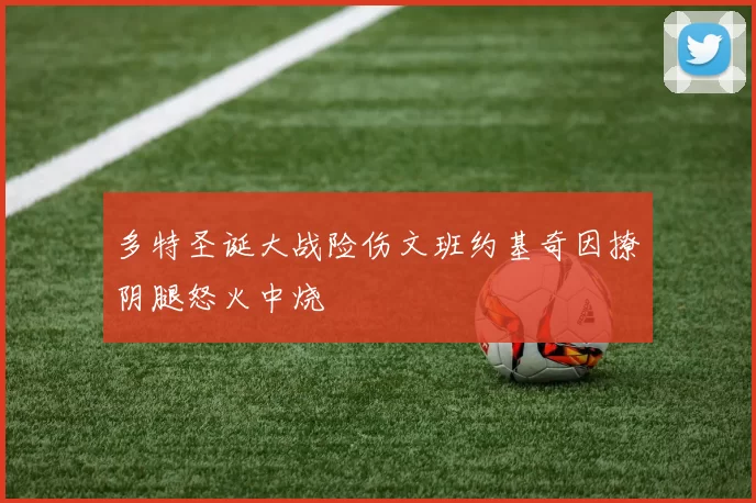 多特圣诞大战险伤文班约基奇因撩阴腿怒火中烧